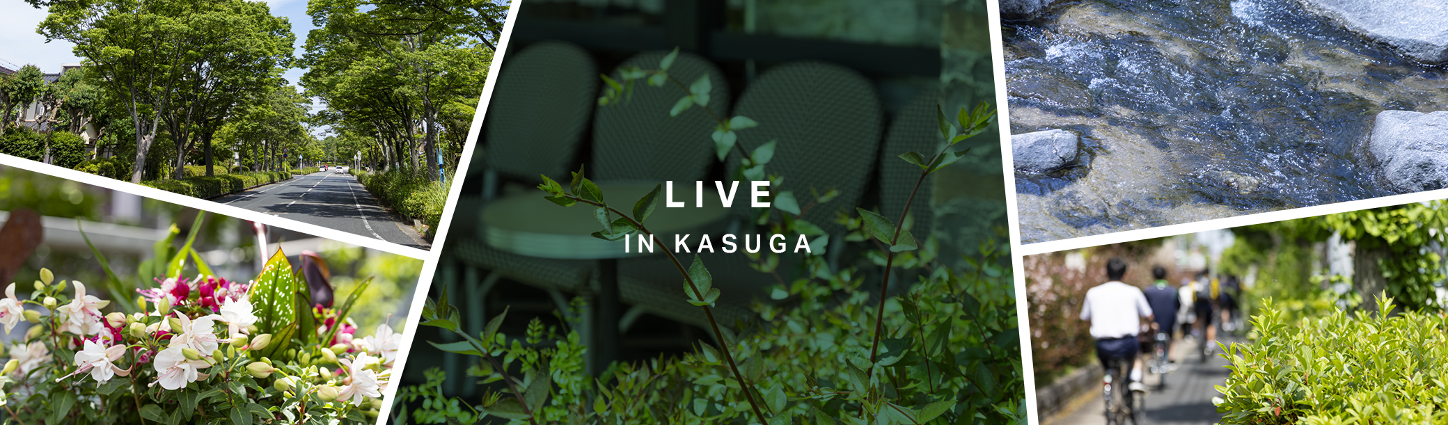 LIVE IN KASUGA