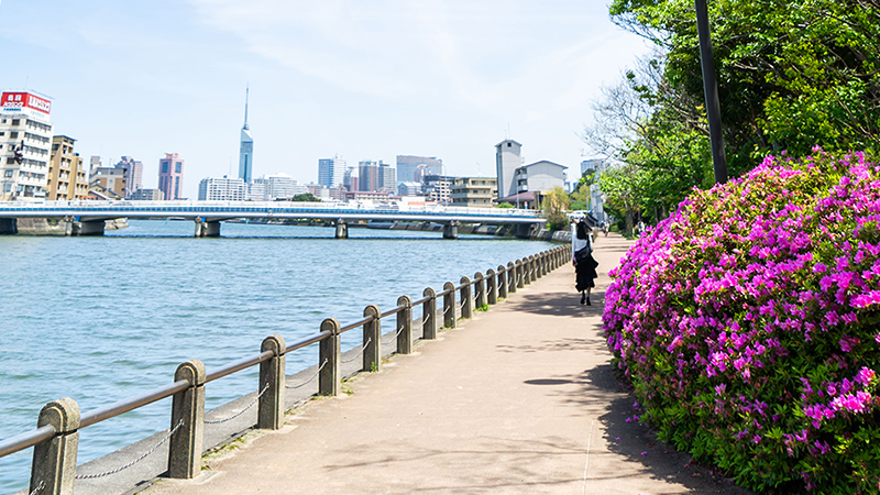 室見川周辺