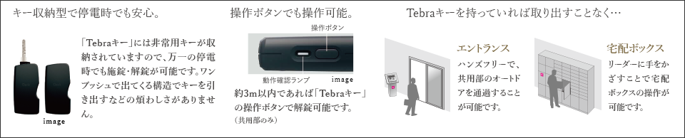 Tebraキーシステム