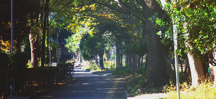 中央公園（徒歩14分/約1,060m）