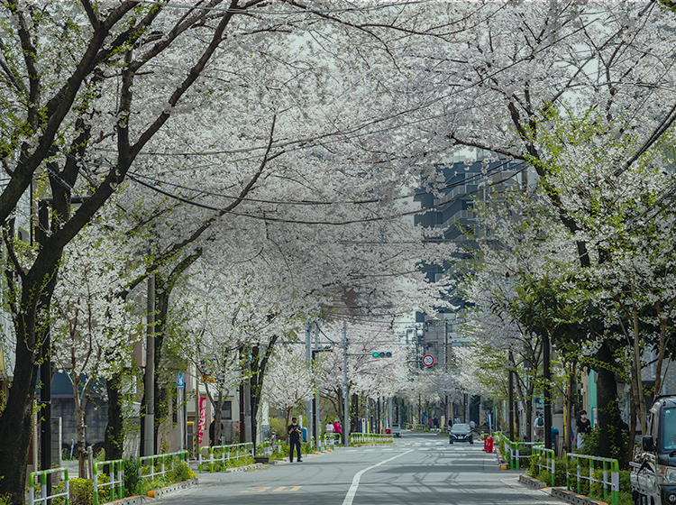 滝野川周辺（徒歩3分/約240m）