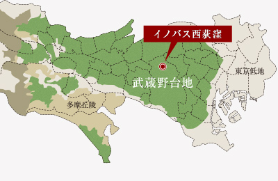 武蔵野台地 地盤概念図