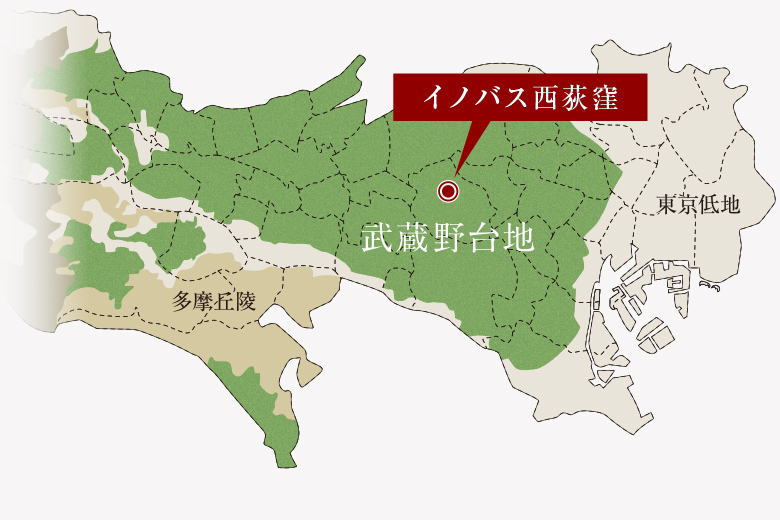 武蔵野台地 地盤概念図