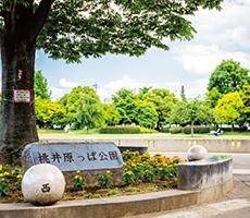 桃井原っぱ公園