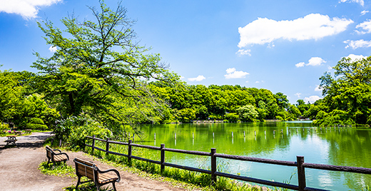 関根文化公園