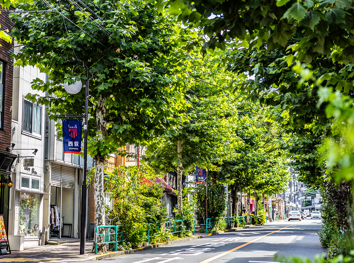 西荻プラタナス通り