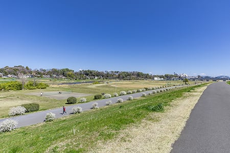 多摩川緑地（約000m/徒歩00分）