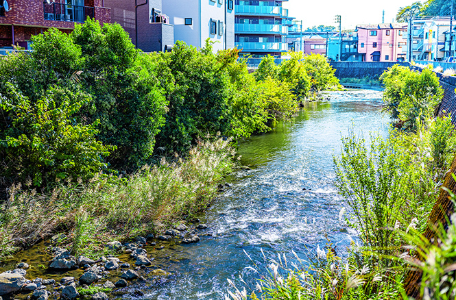 帷子川